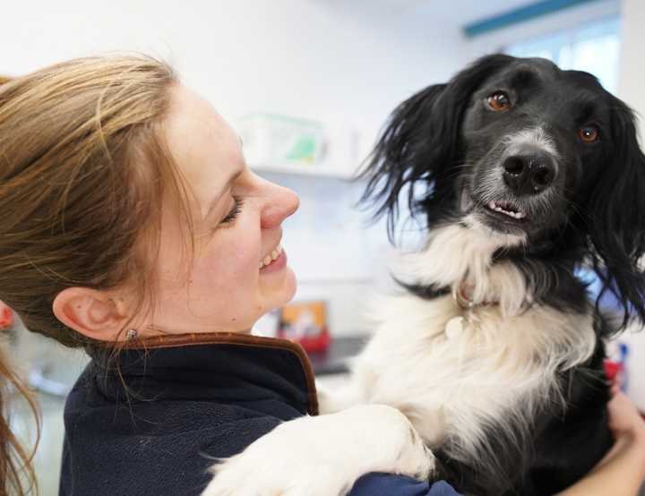 Female vet with a smiling black and white dog