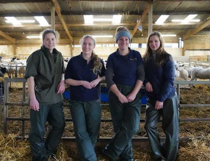 Four female vets in a farm barn
