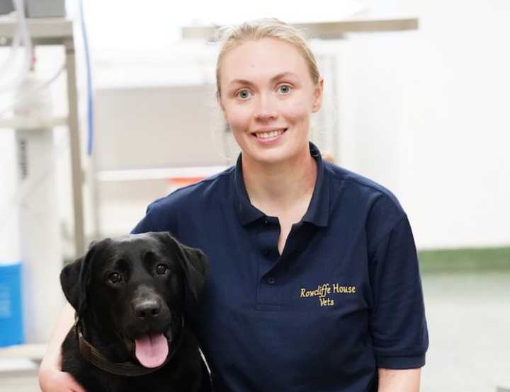 Vet Annabel with a black dog in a veterinary room